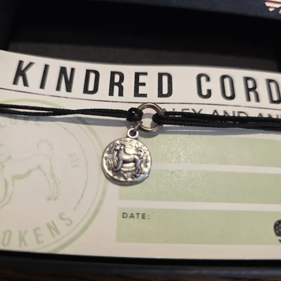 Alex and Ani Kindred Cord Bracelet - Black with Silver Charm - Picture 3 of 3